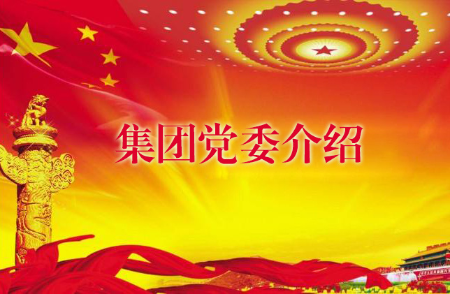 集团党委介绍